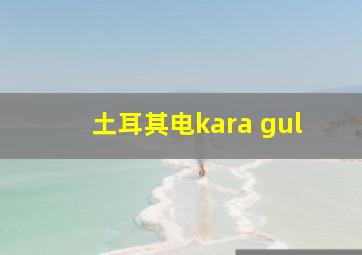 土耳其电kara gul